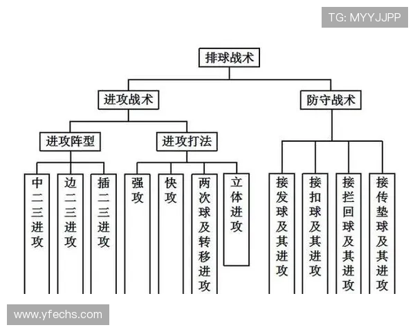 排球专题:深入分析西安排球队的战术节奏与比赛策略