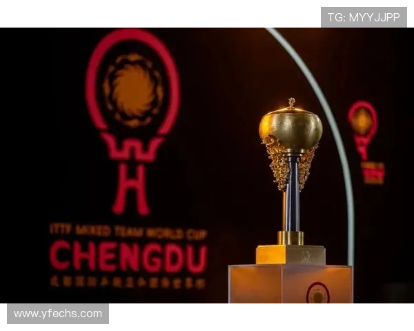 成都足球队在世界杯预选赛中的奋进之路与历史突破回顾