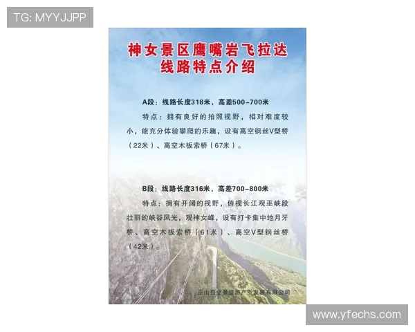 攀岩与人生的交响曲:周磊的深度对话与心路历程 攀岩与人生的交响曲:周磊的深度对话与心路历程