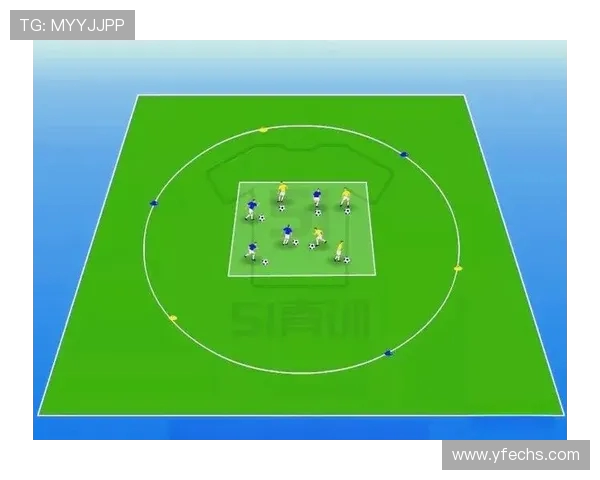 赵芳独家分享排球心得与技巧助你提升球技的全面指南