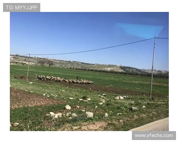 探索阿拉巴的魅力与文化底蕴，揭开这片土地的神秘面纱