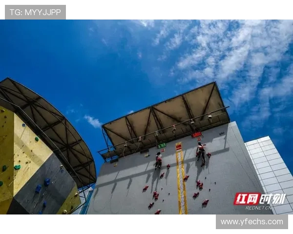 南京攀岩队协作表现分析探讨团队配合与个人能力的关系