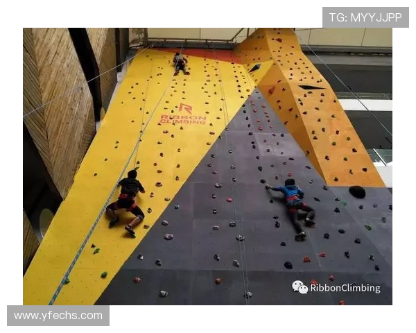 攀岩巨献：探秘上海攀岩队的团队协作